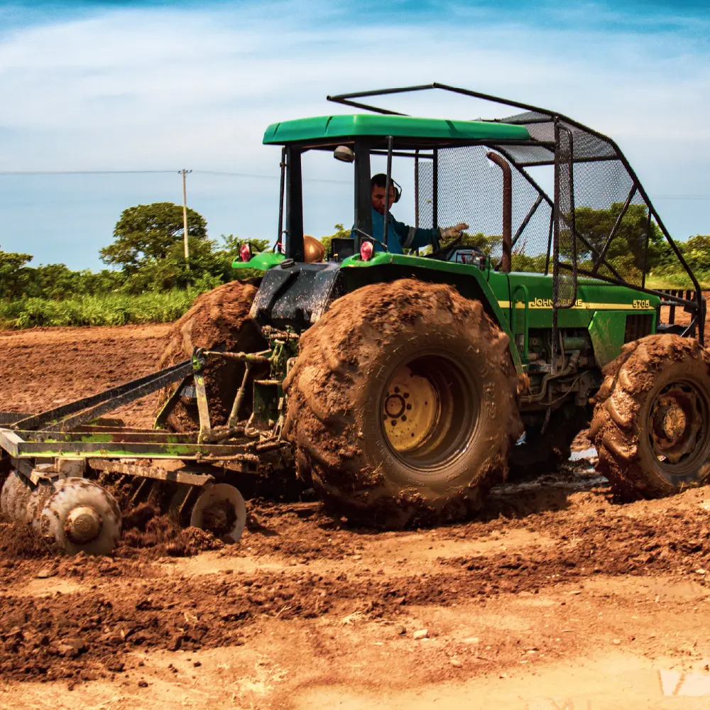 LANDFARMING