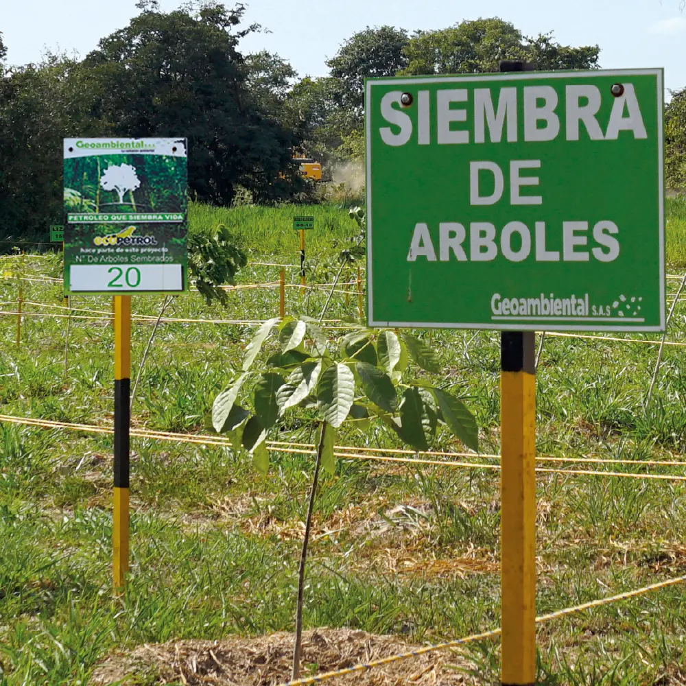 Sostenibilidad